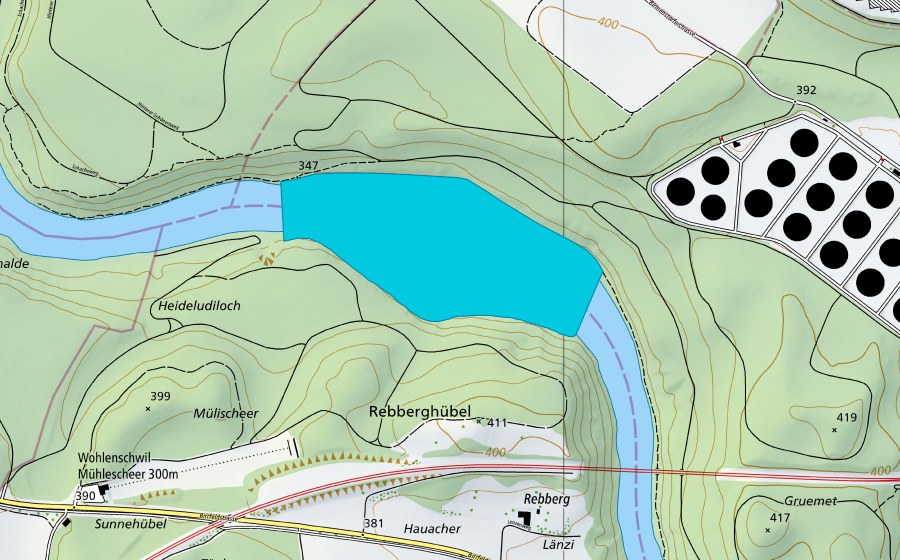 swisstopo national map showing the protected perimeter of Rüsshalden (Floodplain)