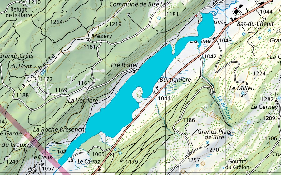 Carte nationale swisstopo avec le périmètre protégé de Sagnes de la Burtignière (Zone alluviale)
