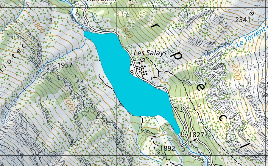 Carte nationale swisstopo avec le périmètre protégé de Salay (Zone alluviale)
