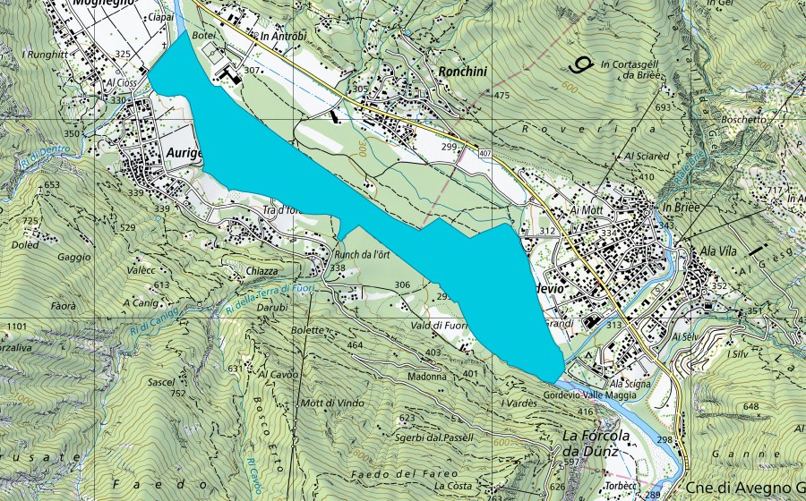 Landeskarte swisstopo mit dem Schutzperimeter von Saleggio (Auengebiet)