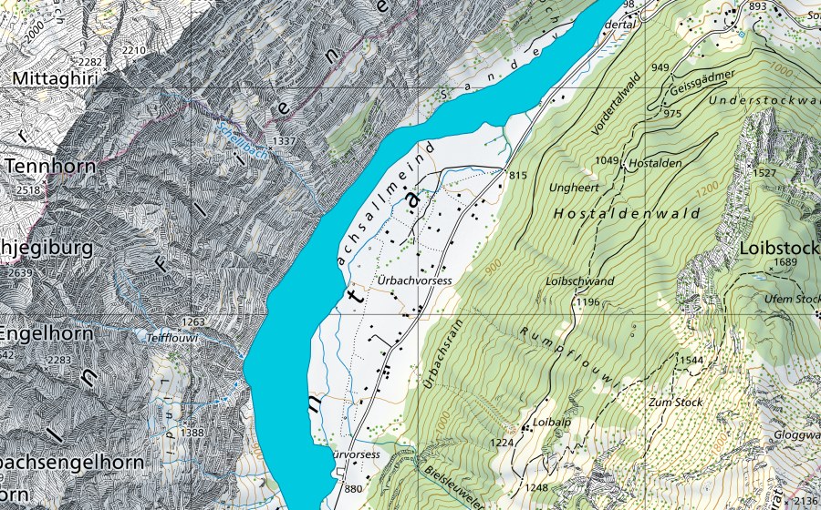 Carte nationale swisstopo avec le périmètre protégé de Sandey (Zone alluviale)