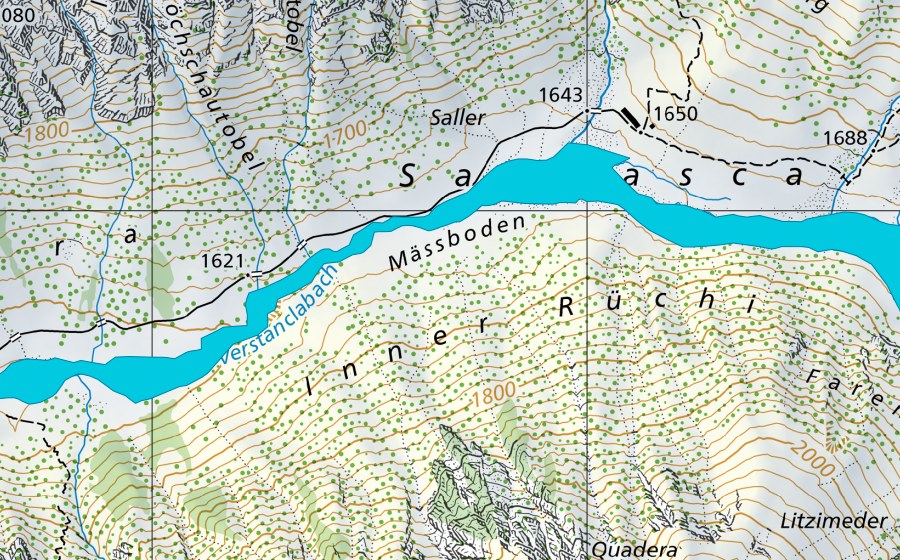 swisstopo national map showing the protected perimeter of Sardasca (Floodplain)