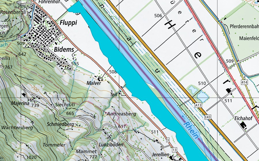 Landeskarte swisstopo mit dem Schutzperimeter von Sarelli - Rosenbergli (Auengebiet)
