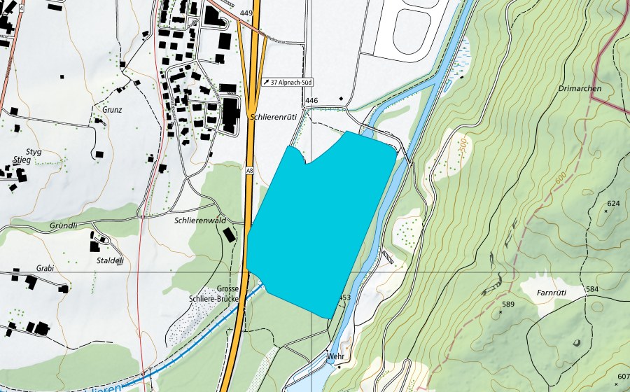 Carte nationale swisstopo avec le périmètre protégé de Schlierenrüti (Zone alluviale)