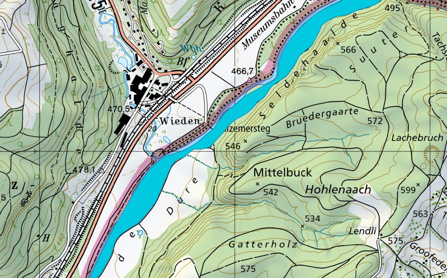 Landeskarte swisstopo mit dem Schutzperimeter von Seldenhalde (Auengebiet)