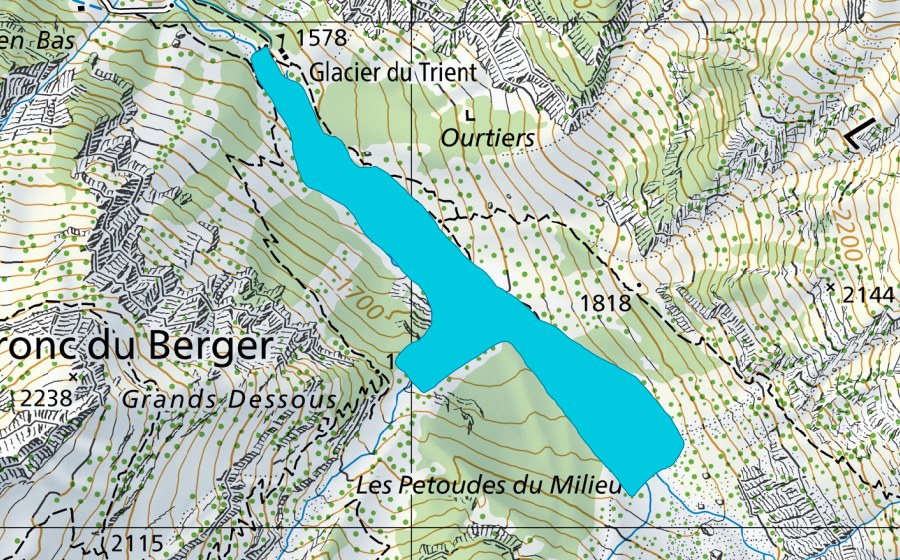 Carta nazionale swisstopo con il perimetro protetto di Source du Trient (Zona golenale)