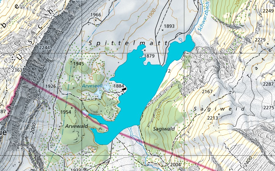 swisstopo national map showing the protected perimeter of Spittelmatte (Floodplain)