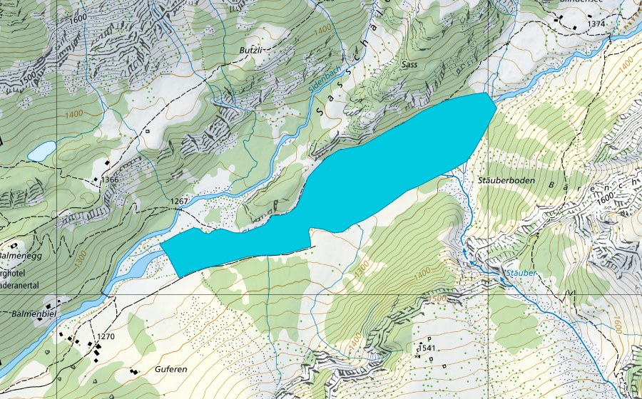 Carta nazionale swisstopo con il perimetro protetto di Stäuberboden (Zona golenale)