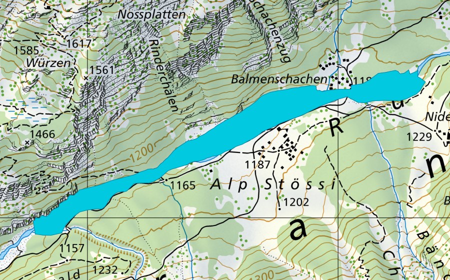 swisstopo national map showing the protected perimeter of Stössi (Floodplain)