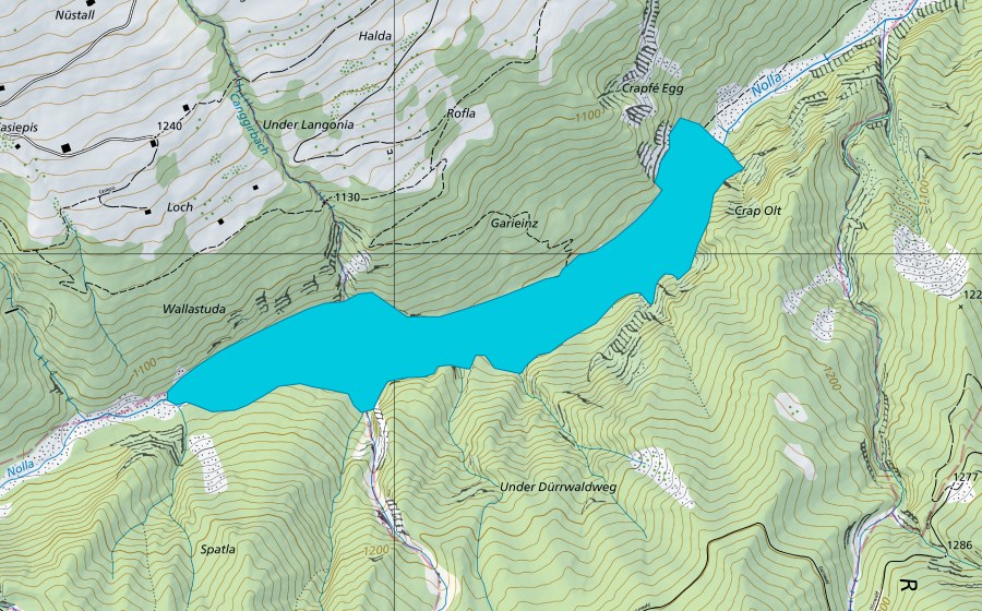 Landeskarte swisstopo mit dem Schutzperimeter von Südwestlich von Übernolla (Auengebiet)