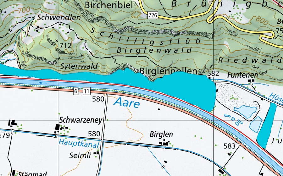 Landeskarte swisstopo mit dem Schutzperimeter von Sytenwald (Auengebiet)