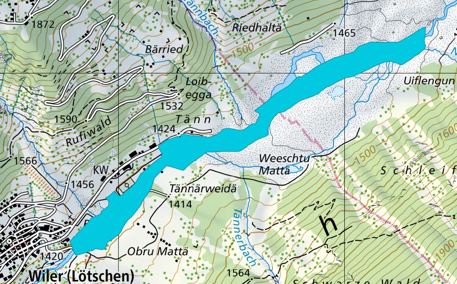 Landeskarte swisstopo mit dem Schutzperimeter von Tännmattu (Auengebiet)
