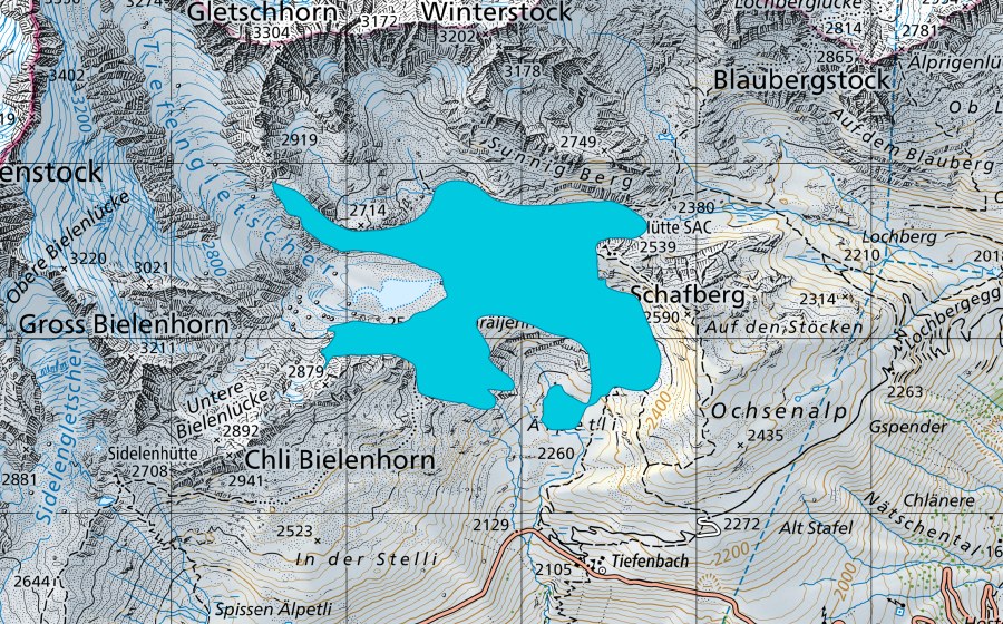 swisstopo national map showing the protected perimeter of Tiefengletscher (Floodplain)