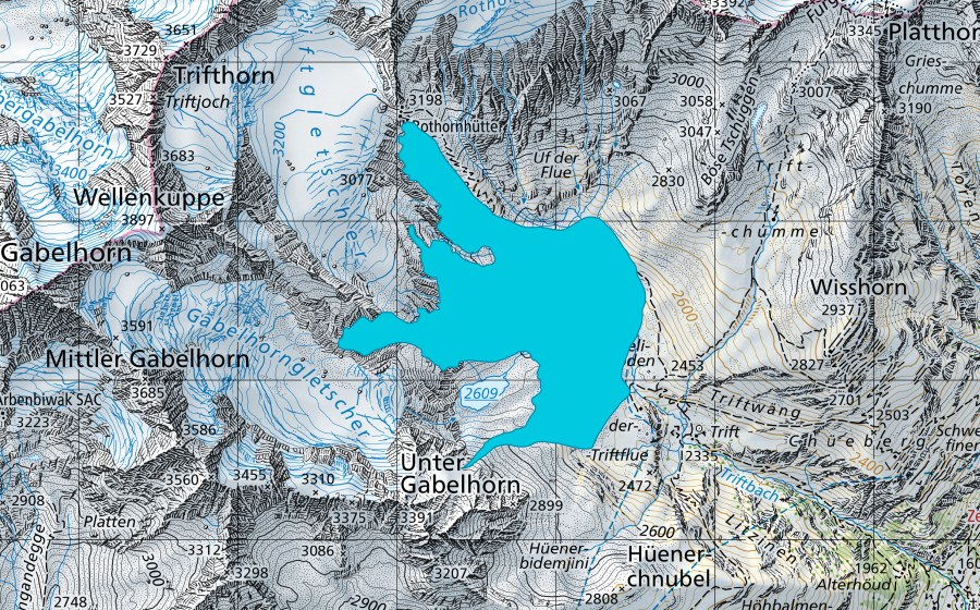 Carta nazionale swisstopo con il perimetro protetto di Triftgletscher VS (Zona golenale)