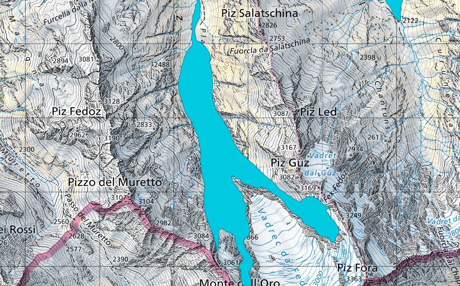 swisstopo national map showing the protected perimeter of Vadrec da Fedoz (Floodplain)