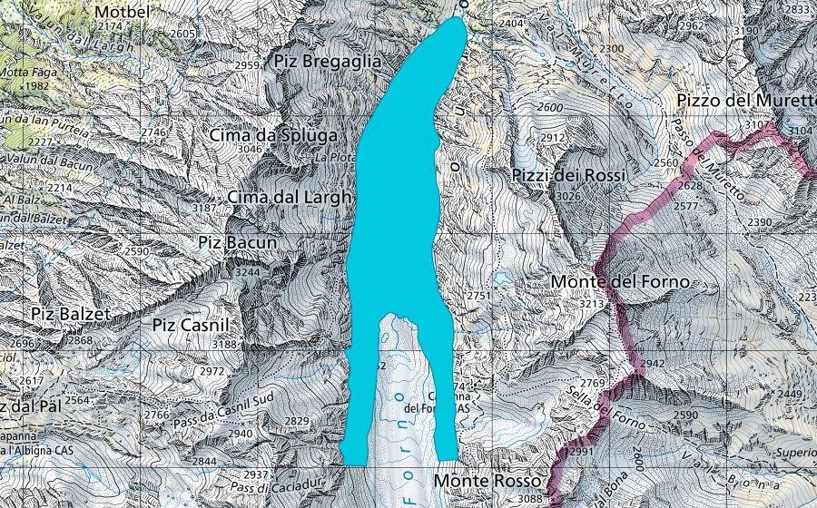 Carta nazionale swisstopo con il perimetro protetto di Vadrec del Forno (Zona golenale)