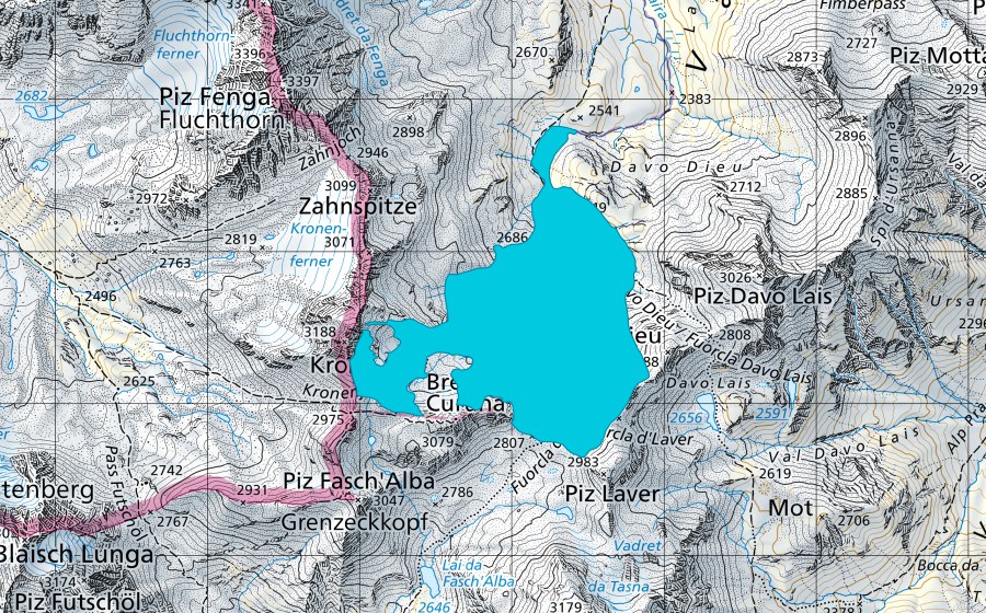 Carta nazionale swisstopo con il perimetro protetto di Vadret da Fenga "Süd" (Zona golenale)