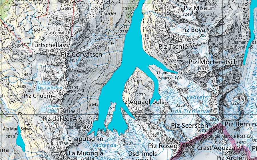 Carte nationale swisstopo avec le périmètre protégé de Vadret da Roseg (Zone alluviale)