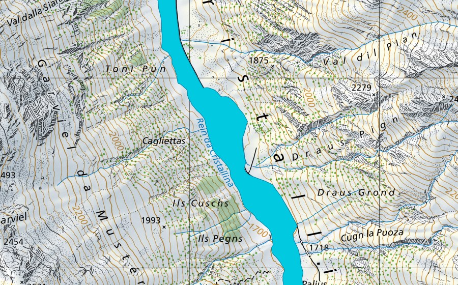 swisstopo national map showing the protected perimeter of Val Cristallina (Floodplain)