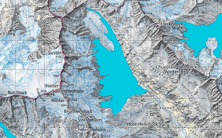 swisstopo national map showing the protected perimeter of Wallenburfirn (Floodplain)