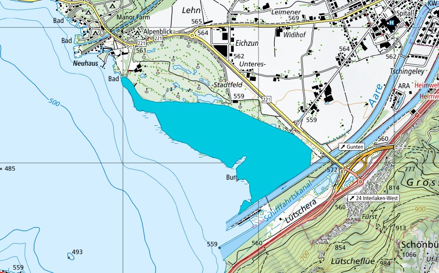 swisstopo national map showing the protected perimeter of Weissenau (Floodplain)