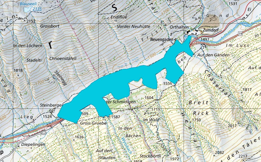 Carte nationale swisstopo avec le périmètre protégé de Widen bei Realp (Zone alluviale)