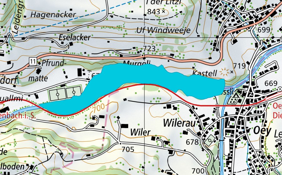 swisstopo national map showing the protected perimeter of Wilerau (Floodplain)