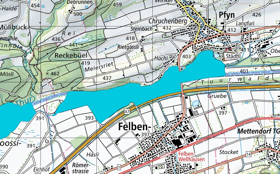 Carte nationale swisstopo avec le périmètre protégé de Wyden bei Pfyn (Zone alluviale)
