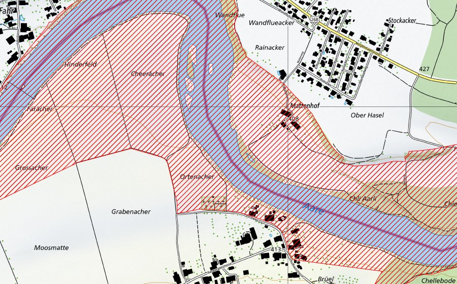 Carte nationale swisstopo avec le périmètre protégé de Aareknie Wolfwil-Wynau (Paysage IFP)