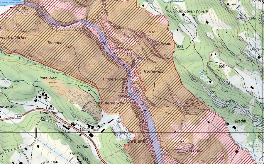 Carte nationale swisstopo avec le périmètre protégé de Aareschlucht zwischen Innertkirchen und Meiringen (Paysage IFP)