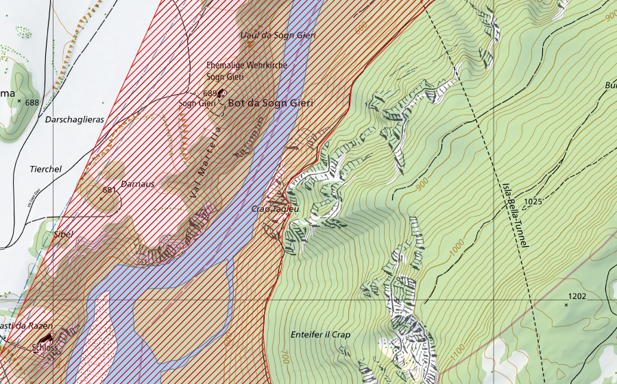 Landeskarte swisstopo mit dem Schutzperimeter von Auenlandschaft am Unterlauf des Hinterrheins (BLN-Landschaft)