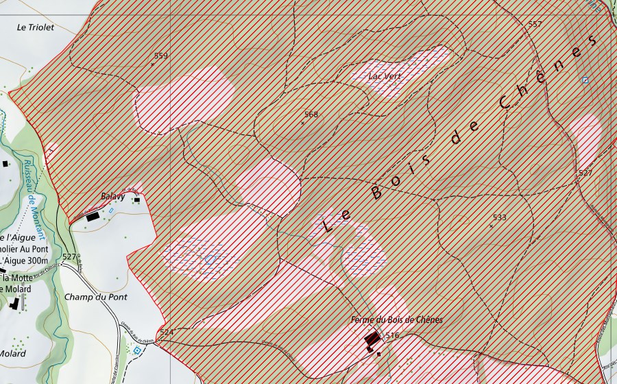 swisstopo national map showing the protected perimeter of Bois de Chênes (BLN landscape)