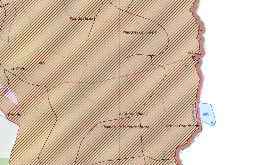 Landeskarte swisstopo mit dem Schutzperimeter von Étangs de Bonfol et de Vendlincourt (BLN-Landschaft)