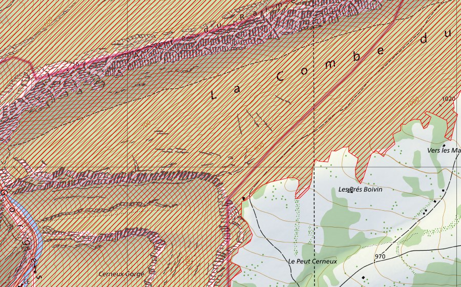 Landeskarte swisstopo mit dem Schutzperimeter von Gorges de Moutier (BLN-Landschaft)