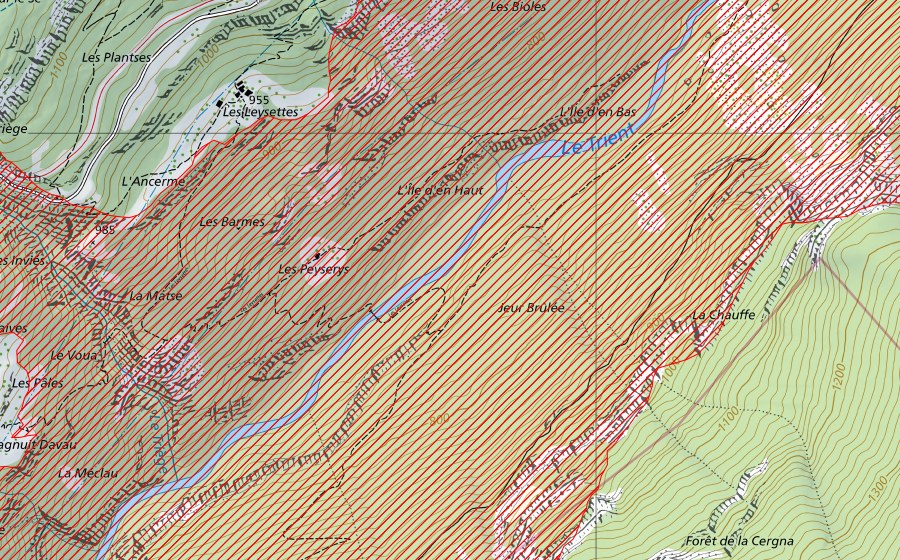 Carta nazionale swisstopo con il perimetro protetto di Gorges du Trient (Paesaggio IFP)