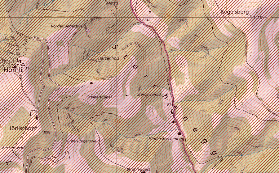 Landeskarte swisstopo mit dem Schutzperimeter von Hörnli-Bergland (BLN-Landschaft)