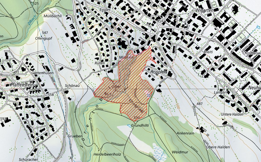 Landeskarte swisstopo mit dem Schutzperimeter von Jörentobel (BLN-Landschaft)