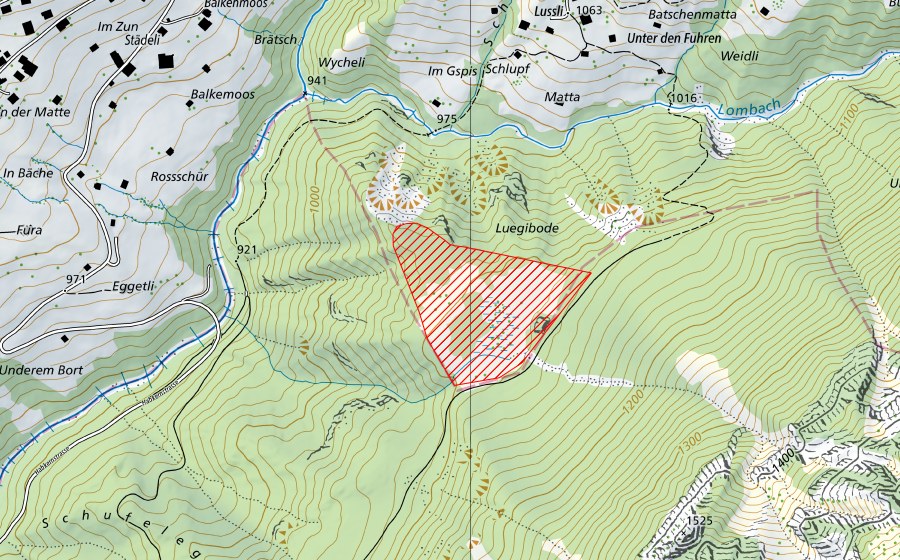 Landeskarte swisstopo mit dem Schutzperimeter von Luegibodenblock (BLN-Landschaft)