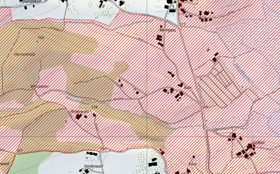 Carta nazionale swisstopo con il perimetro protetto di Lützelsee – Seeweidsee – Ütziker Riet (Paesaggio IFP)
