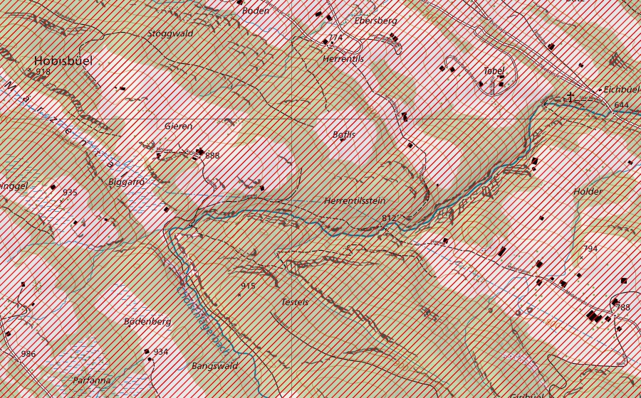Landeskarte swisstopo mit dem Schutzperimeter von Melser Hinterberg – Flumser Kleinberg (BLN-Landschaft)