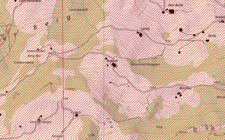 Carta nazionale swisstopo con il perimetro protetto di Vierwaldstättersee mit Kernwald, Bürgenstock und Rigi (Paesaggio IFP)