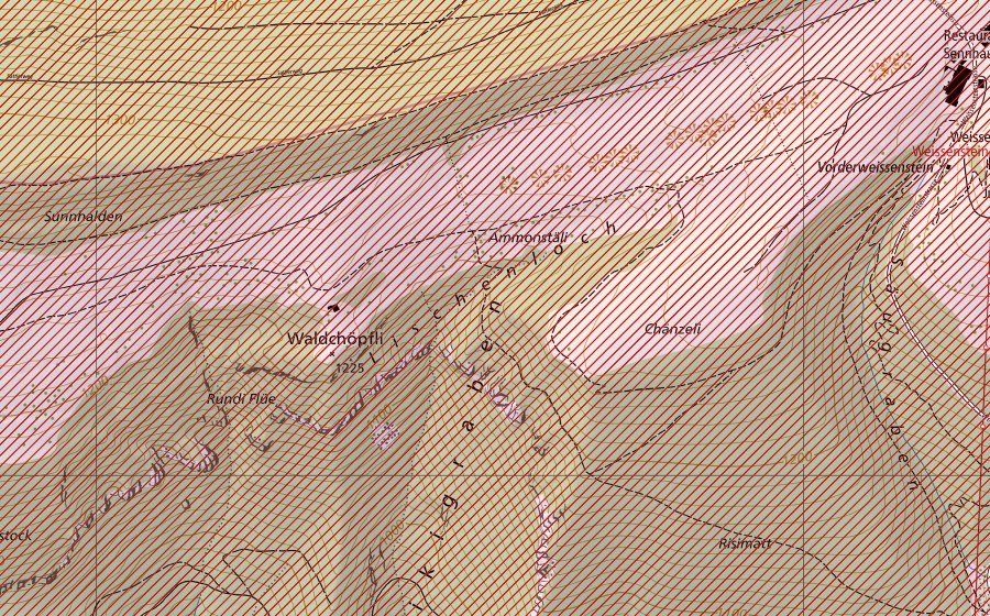 swisstopo national map showing the protected perimeter of Weissenstein (BLN landscape)