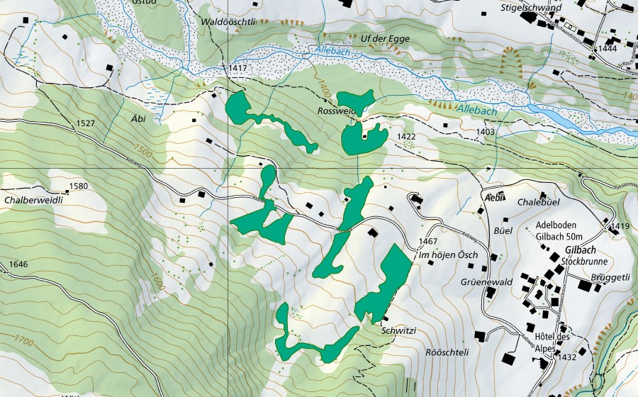 swisstopo national map showing the protected perimeter of Äbi (Fen)
