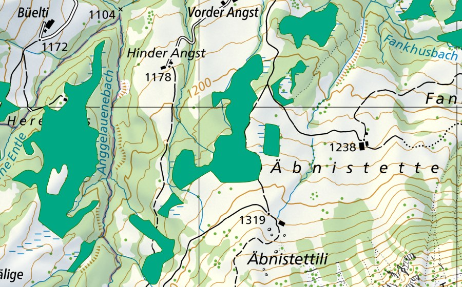 Landeskarte swisstopo mit dem Schutzperimeter von Äbnistetten (Flachmoor)