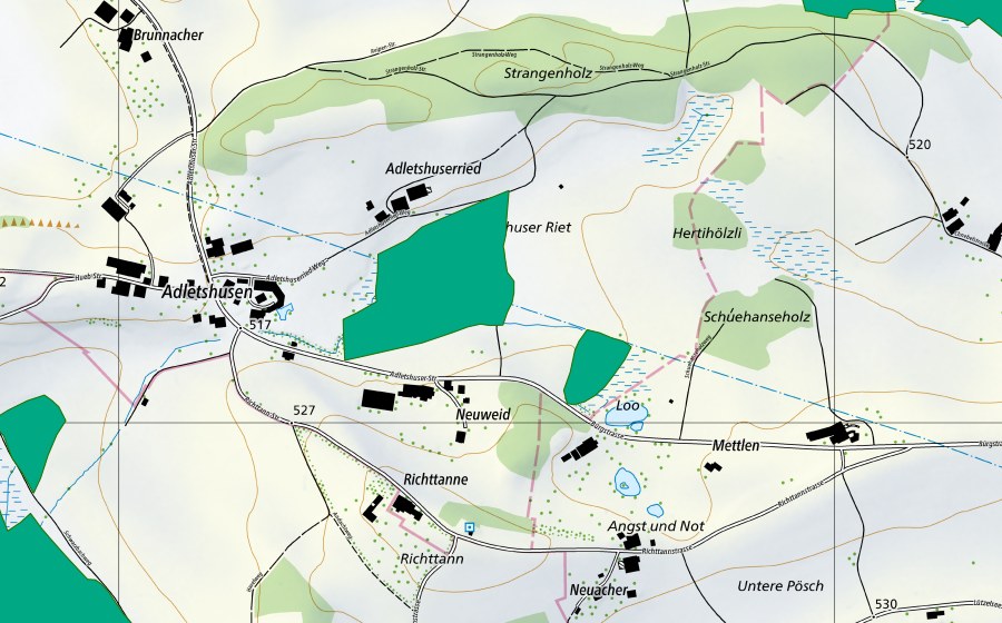 Landeskarte swisstopo mit dem Schutzperimeter von Adletshuser Riet (Flachmoor)