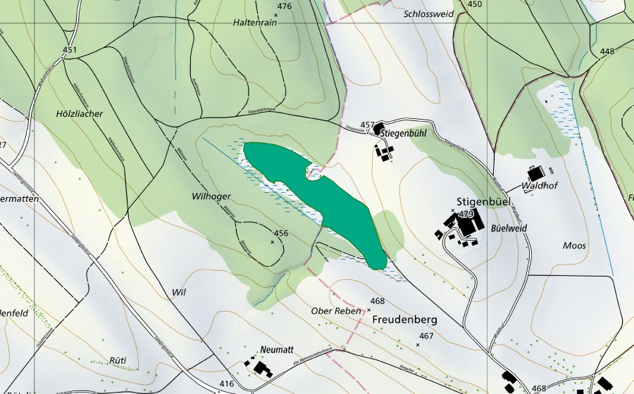 swisstopo national map showing the protected perimeter of Ägelsee (Fen)