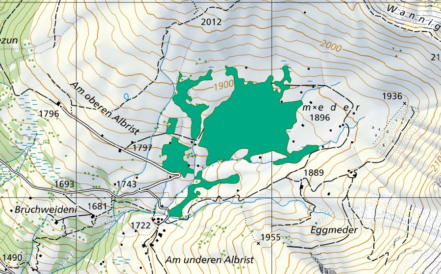 swisstopo national map showing the protected perimeter of Albristmeder (Fen)