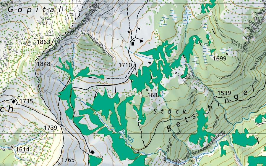 Landeskarte swisstopo mit dem Schutzperimeter von Ällgäu (Flachmoor)