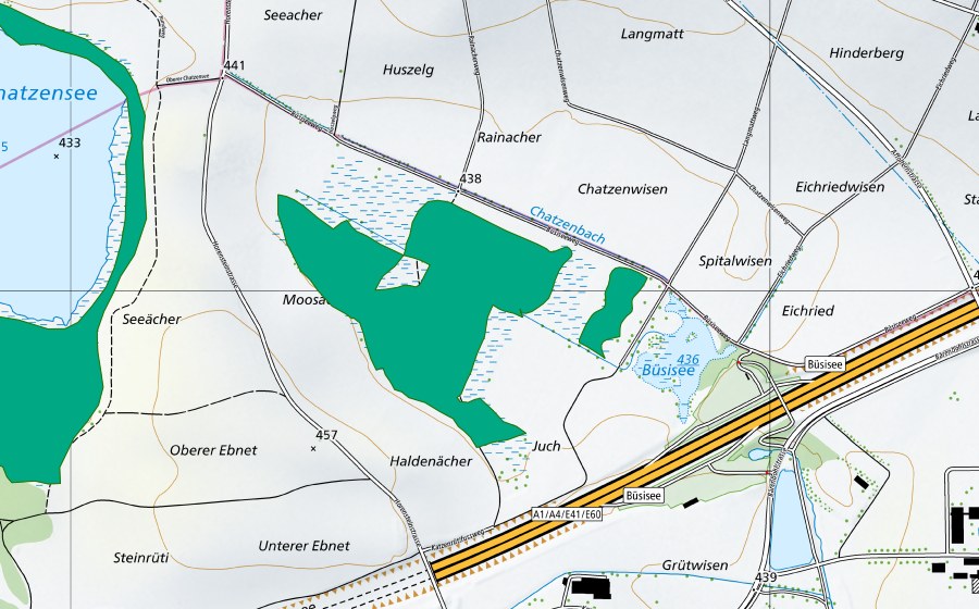 Carte nationale swisstopo avec le périmètre protégé de Allmend beim Chatzensee (Bas-marais)