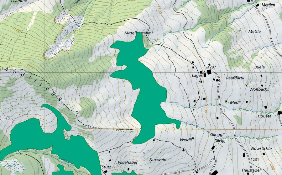 Landeskarte swisstopo mit dem Schutzperimeter von Allmi westlich Läger (Flachmoor)